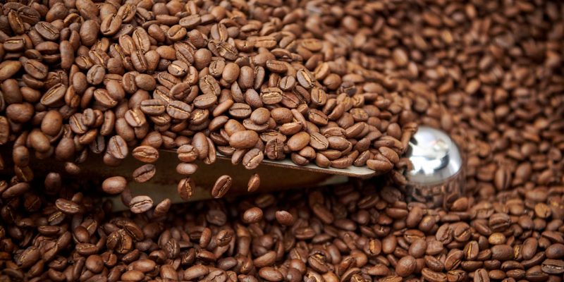 2021_Kaffeewerkstatt_WEB_76